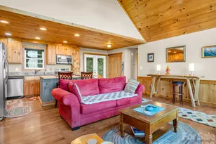603 Pace Mountain Rd, Saluda, NC 28773 - Photo 10