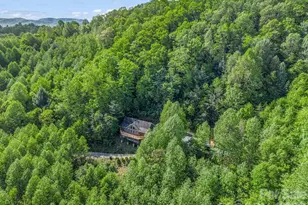 603 Pace Mountain Rd, Saluda, NC 28773 - Photo 36