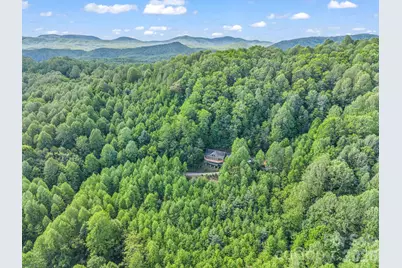 603 Pace Mountain Road, Saluda, NC 28773 - Photo 42