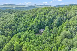 603 Pace Mountain Rd, Saluda, NC 28773 - Photo 42