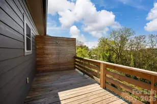 30 and 32 View St, Asheville, NC 28804 - Photo 22