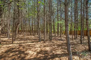 116 Damon Dr, Shelby, NC 28150 - Photo 38