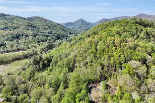 455 Chinquapin Rd, Canton, NC 28716 - Photo 16