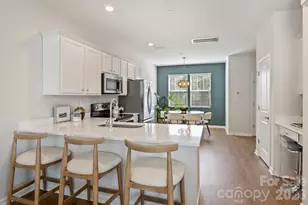 2409 Via Del Conte Alley, Charlotte, NC 28205 - Photo 14