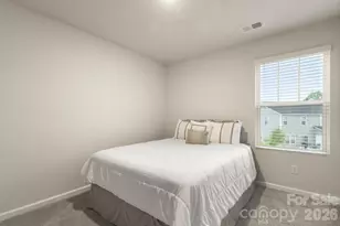 3045 Belstock Ct, Charlotte, NC 28216 - Photo 22