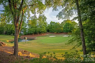 3008 St Andrews Ct, Fort Mill, SC 29707 - Photo 44