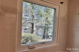 111 Burning Tree Ln, Flat Rock, NC 28731 - Photo 20