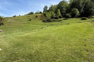 1663 Bailey Branch Rd, Burnsville, NC 28714 - Photo 24