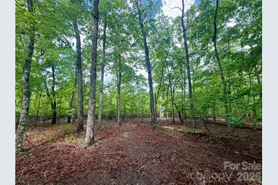 232 Chase Drive, Forest City, NC 28043 - Photo 8