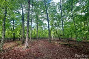 232 Chase Dr, Forest City, NC 28043 - Photo 8