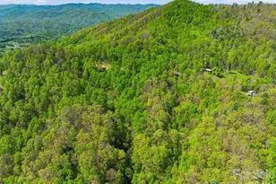 3167 Lump Town Rd, Marshall, NC 28753 - Photo 26