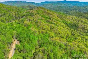 3167 Lump Town Rd, Marshall, NC 28753 - Photo 28