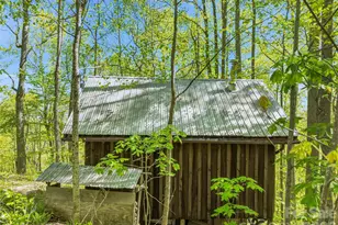 3167 Lump Town Rd, Marshall, NC 28753 - Photo 6