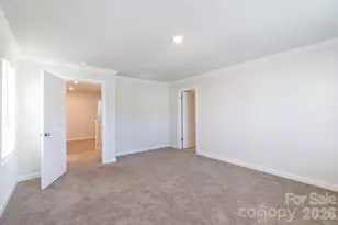 527 Palmarosa St, Fort Mill, SC 29715 - Photo 12