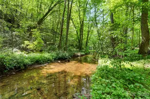 22 Delacy Dr, Hendersonville, NC 28739 - Photo 4