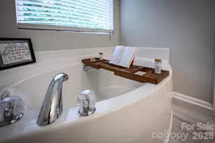 2911 Glazer Valley Ct, Charlotte, NC 28214 - Photo 18
