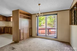 203 Rogat Rd, Hendersonville, NC 28792 - Photo 10