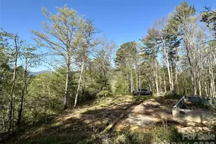 454 Dream Valley Dr, Clyde, NC 28721 - Photo 4