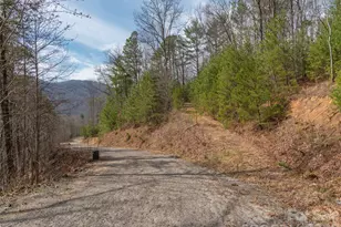 454 Dream Valley Dr, Clyde, NC 28721 - Photo 2