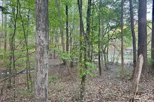 7656 Juniper Ln, Denver, NC 28037 - Photo 34