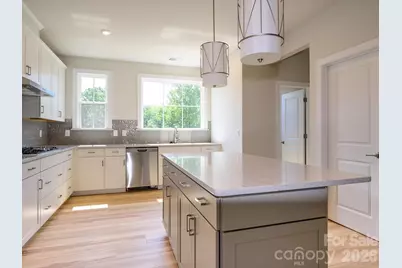 317 Old Town Village Road, Waxhaw, NC 28173 - Photo 8