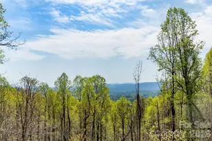 172 Sunny Ridge Rd, Hendersonville, NC 28739 - Photo 2