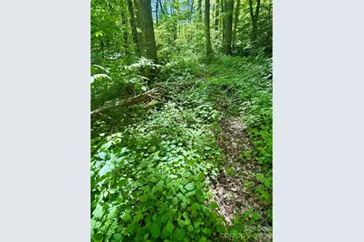 Tbd Highway 107 None N #Lot 1, Glenville, NC 28736 - Photo 4