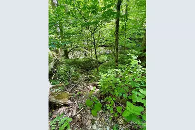 Tbd Highway 107 None N #Lot 1, Glenville, NC 28736 - Photo 10