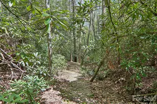 554 Pisgah Forest Dr, Pisgah Forest, NC 28768 - Photo 44