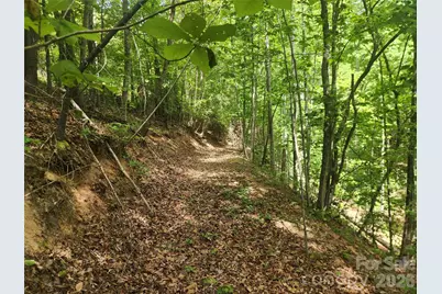3024 Pearson Mountain Road, Boomer, NC 28606 - Photo 38