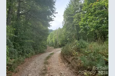 3024 Pearson Mountain Road, Boomer, NC 28606 - Photo 26