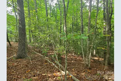 3024 Pearson Mountain Road, Boomer, NC 28606 - Photo 28