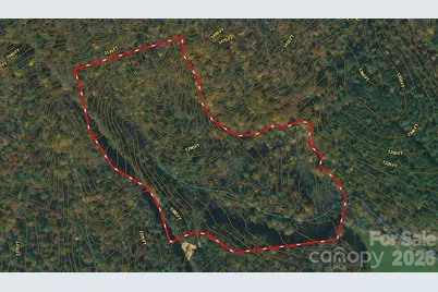 3024 Pearson Mountain Road, Boomer, NC 28606 - Photo 12