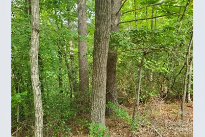 3024 Pearson Mountain Road, Boomer, NC 28606 - Photo 22