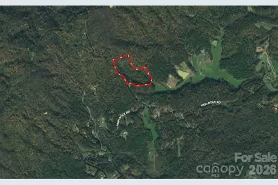 3024 Pearson Mountain Road, Boomer, NC 28606 - Photo 10