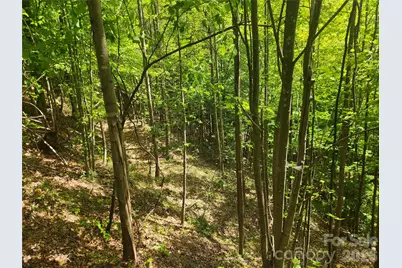 3024 Pearson Mountain Road, Boomer, NC 28606 - Photo 34