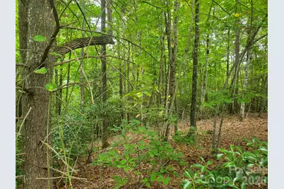 3024 Pearson Mountain Road, Boomer, NC 28606 - Photo 24