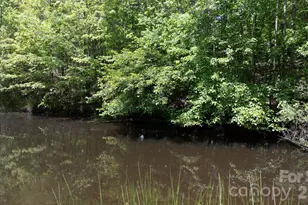 7008 Peyronel St, Connelly Springs, NC 28612 - Photo 42