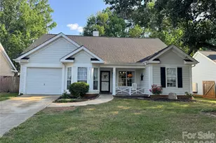 258 Indian Paint Brush Dr, Mooresville, NC 28115 - Photo 1