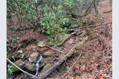 0 Russell Gap Road, Taylorsville, NC 28654 - Photo 2