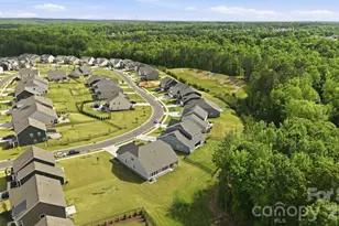 3915 Horsham St, Indian Land, SC 29707 - Photo 38