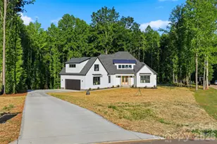 4299 Brandy Crk Ct, Clover, SC 29710 - Photo 4