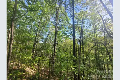 99999 Wolverine Court #53, Waynesville, NC 28785 - Photo 6
