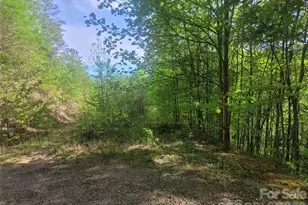 99999 Wolverine Ct, Waynesville, NC 28785 - Photo 1