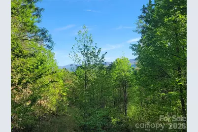 99999 Wolverine Court #53, Waynesville, NC 28785 - Photo 14