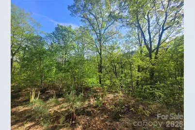 99999 Wolverine Court #53, Waynesville, NC 28785 - Photo 12