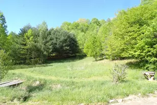 145 Kirk's Dr, Hot Springs, NC 28743 - Photo 10