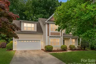 10333 Misty Moss Ct, Mint Hill, NC 28227 - Photo 1