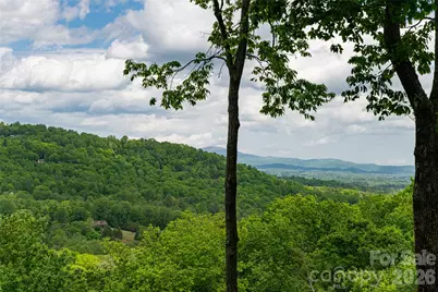 12 Spring Ridge Lane, Hendersonville, NC 28739 - Photo 40