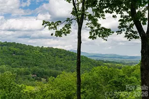 12 Spring Ridge Ln, Hendersonville, NC 28739 - Photo 40